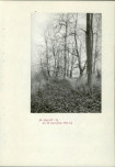 EP - Ewidencja parkowa, skan nr 101