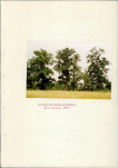 EP - Ewidencja parkowa, skan nr 109