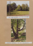EP - Ewidencja parkowa, skan nr 111