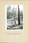 EP - Ewidencja parkowa, skan nr 116