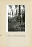 EP - Ewidencja parkowa, skan nr 117